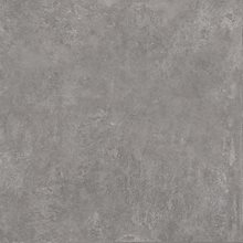 SG455300N | Геркуланум серый 50,2х50,2