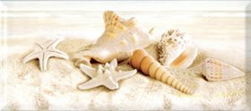 Декор Легенда "Seashells" 200*450